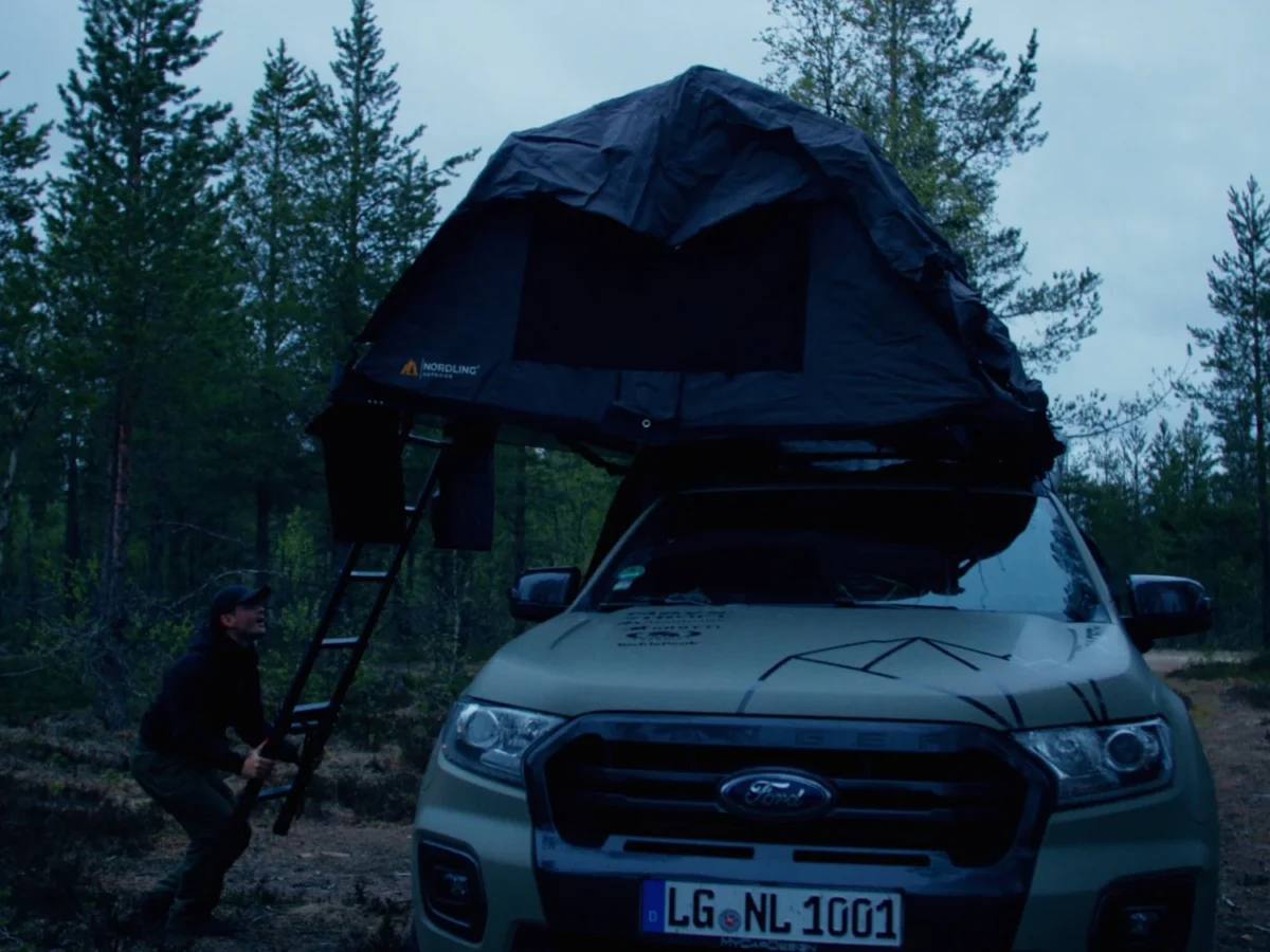 A pickup with a Nordling rooftop tent opened and its ladder down, parked between birches in flat evening light.